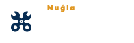 petek temizleme, muğla petek temizleme, muğla kombi bakımı, muğla karot, muğla ilaçlı petek temizleme , muğla milas petek temizleme, muğla milas kombi bakımı, muğla menteşe petek temizleme, muğla kalorifer temizleme, muğla kalorifer bakımı